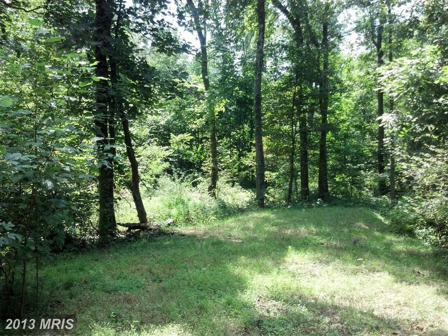 0 Chimney Cir unit 1003681460, Middletown, VA 22645 - photo 1