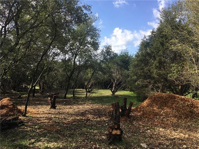 View of lot from the street - some great trees with minor clearing done to allow ease of access.
