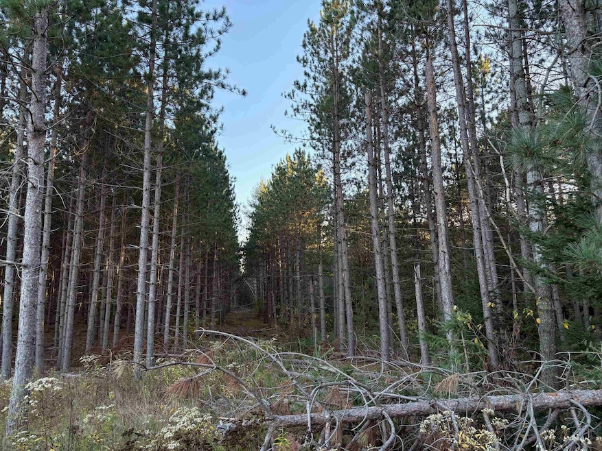 Lot 2 Plantation Rd, Enterprise, WI 54463 - photo 1