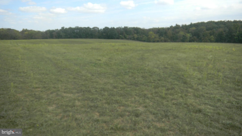 0 Race Track Rd unit 1000212869, Saint Thomas, PA 17252 - photo 1