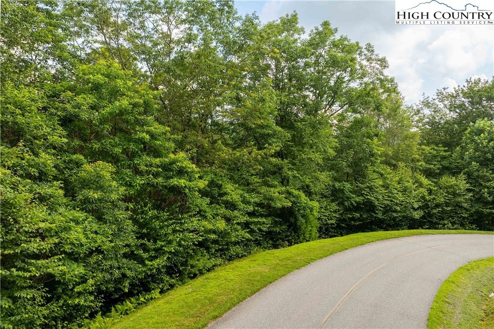 TBD Lot 122 Firethorn Trail, Blowing Rock, NC 28605 - photo 1