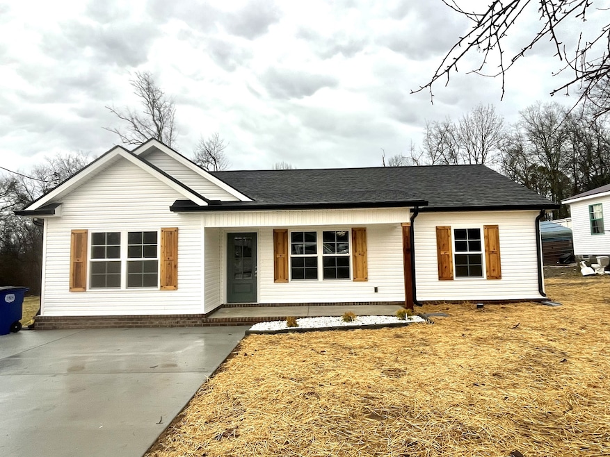 115 Burt St, Shelbyville, TN 37160 - photo 1