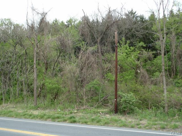 5101 Chestnut St, Emmaus, PA 18049 - photo 1