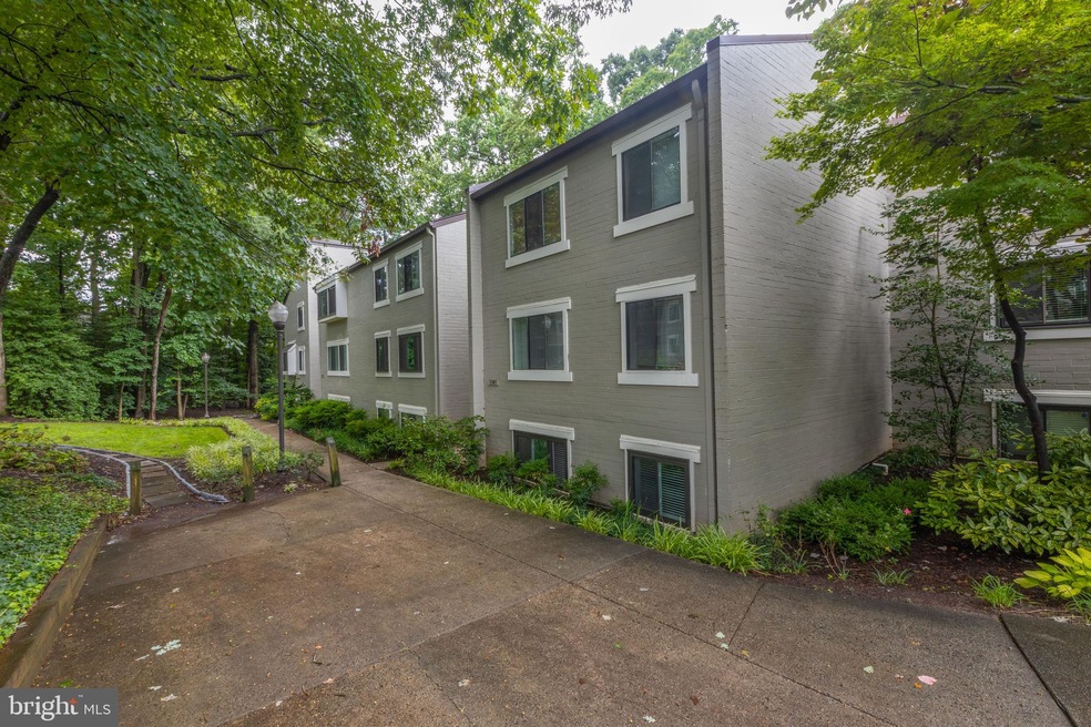 11743 Ledura Ct unit T3, Reston, VA 20191 - photo 1