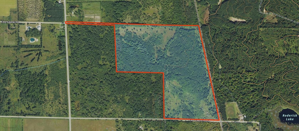 V/L 118A E Townline Rd, Free Soil, MI 49411 - photo 1