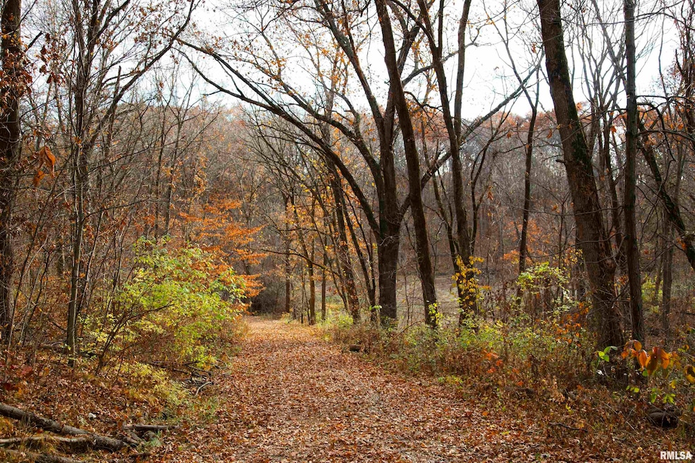 0000 W Smithville Rd, Trivoli, IL 61569 - photo 1