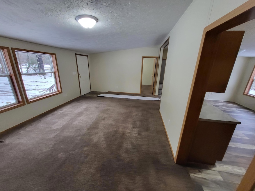 1793 Beaver Rd, Bitely, MI 49309 - photo 1