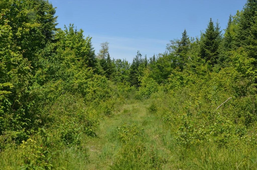 Maine Land for Sale in Ludlow Maine