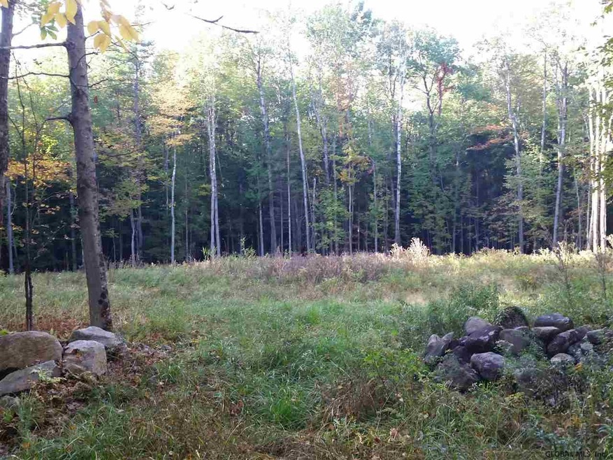 38 Lincoln Mountain Rd, Greenfield Center, NY 12833 - photo 1