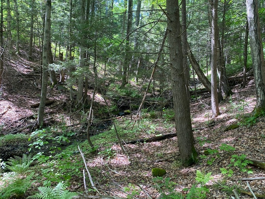 0 Mercy Anderson Rd unit 72987869, Shelburne, MA 01370 - photo 1