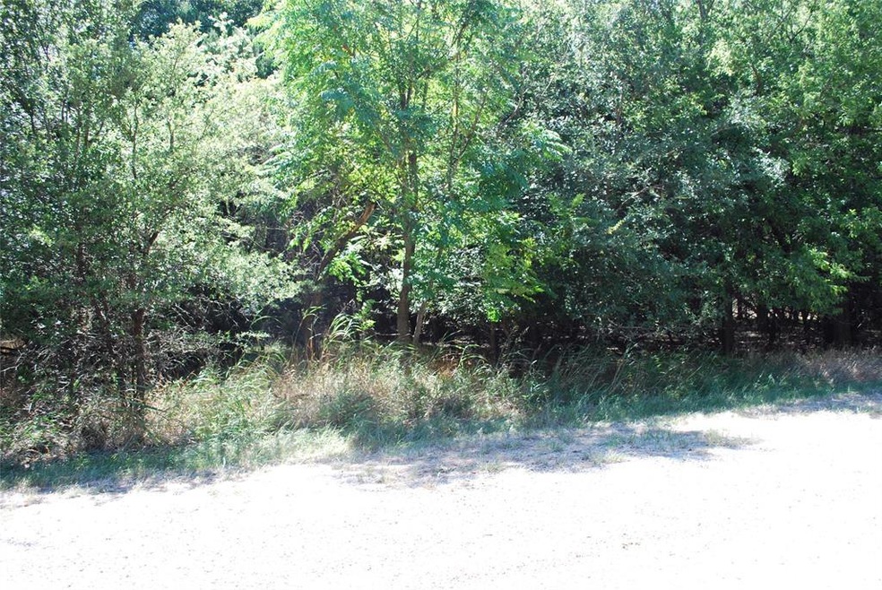 1514 Deerwood Ct, Whitney, TX 76692 - photo 1