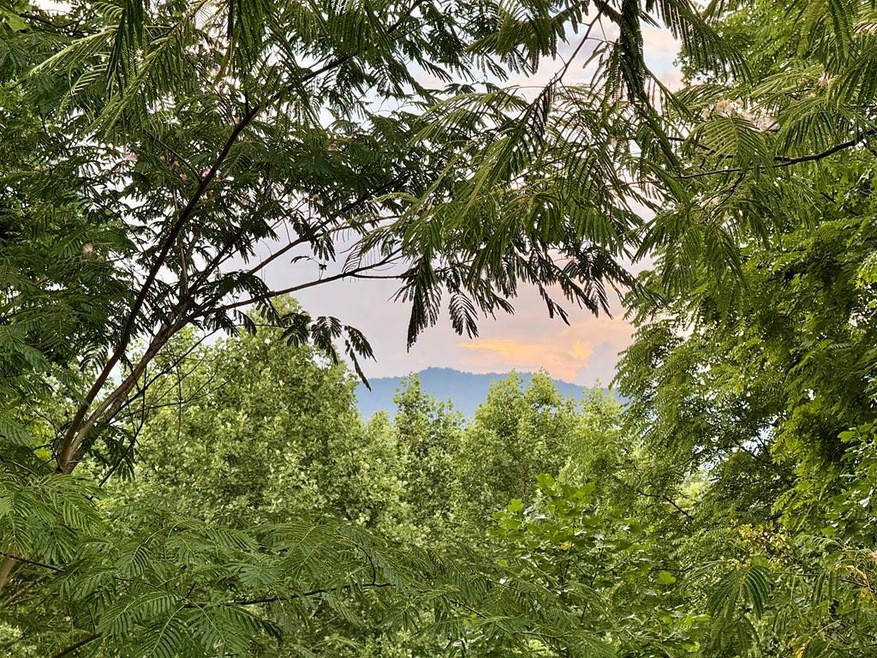 3 Huscusson Dr, Franklin, NC 28734 - photo 1