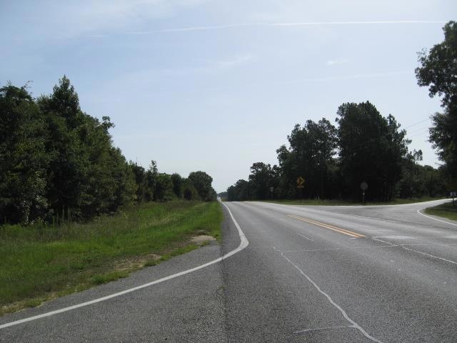 00 Old Savannah Road & Us 280, Ailey, GA 30410 - photo 1