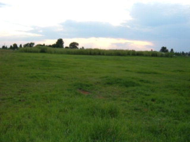 Main View