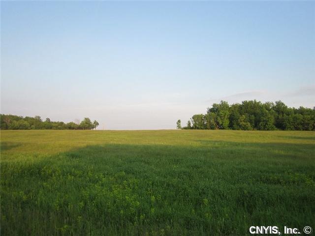 Land/Lot