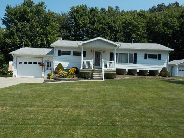 Main View