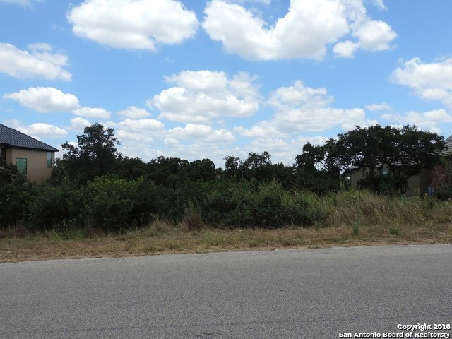 8719 Terra Mont Way, San Antonio, TX 78255 - photo 1