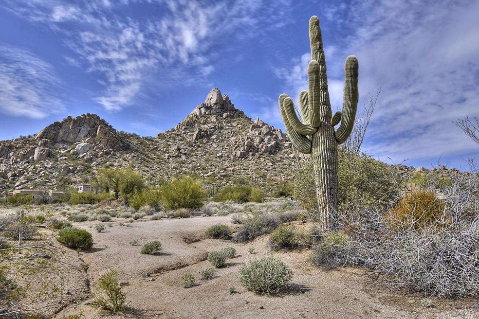 Pinnacle Peak