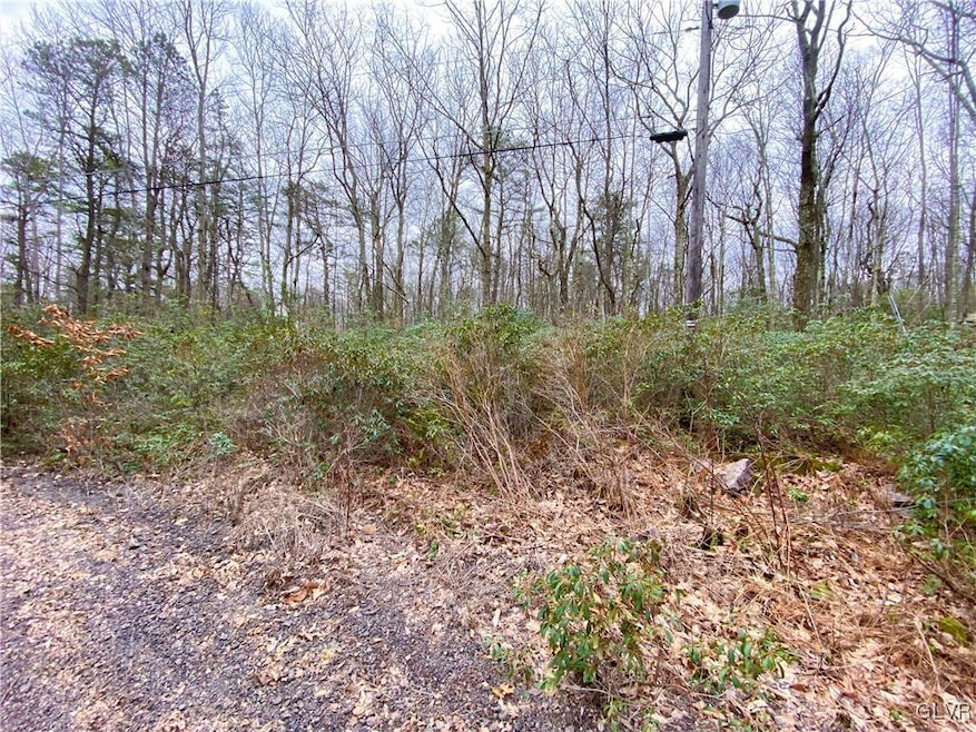 Sold $7,000 • Co-Listing Agent