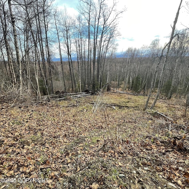 5500 W Birch Harbor Dr, Knik-Fairview, AK 99654 - photo 1