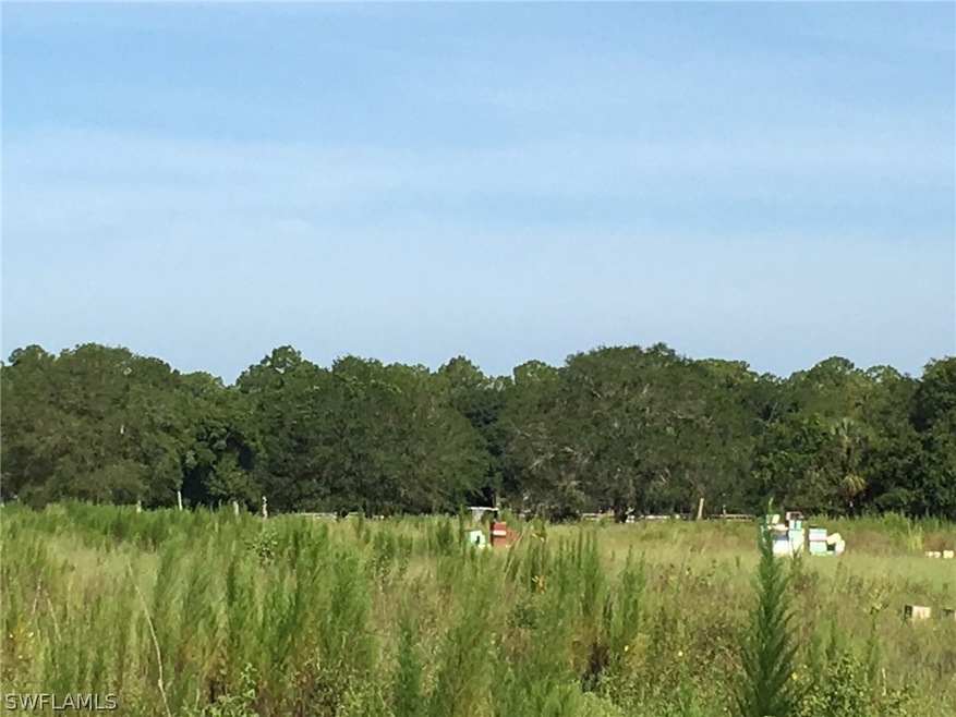 3320 Packinghouse Rd, Alva, FL 33920 - photo 1