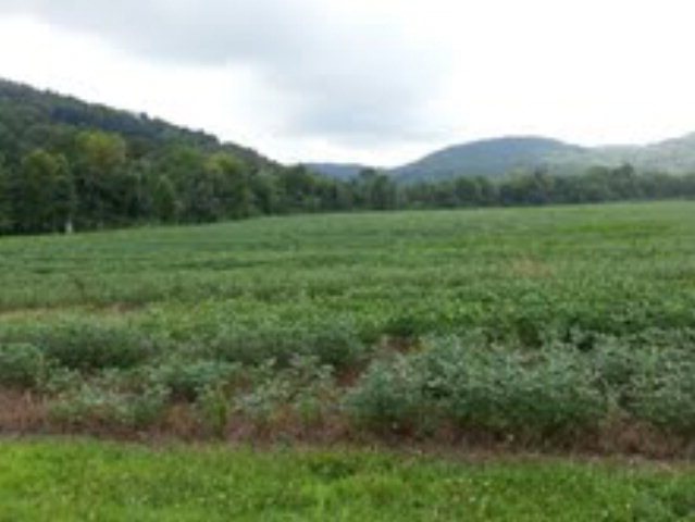 27.5 AC Wiley Ln, Cookeville, TN 38506 - photo 1