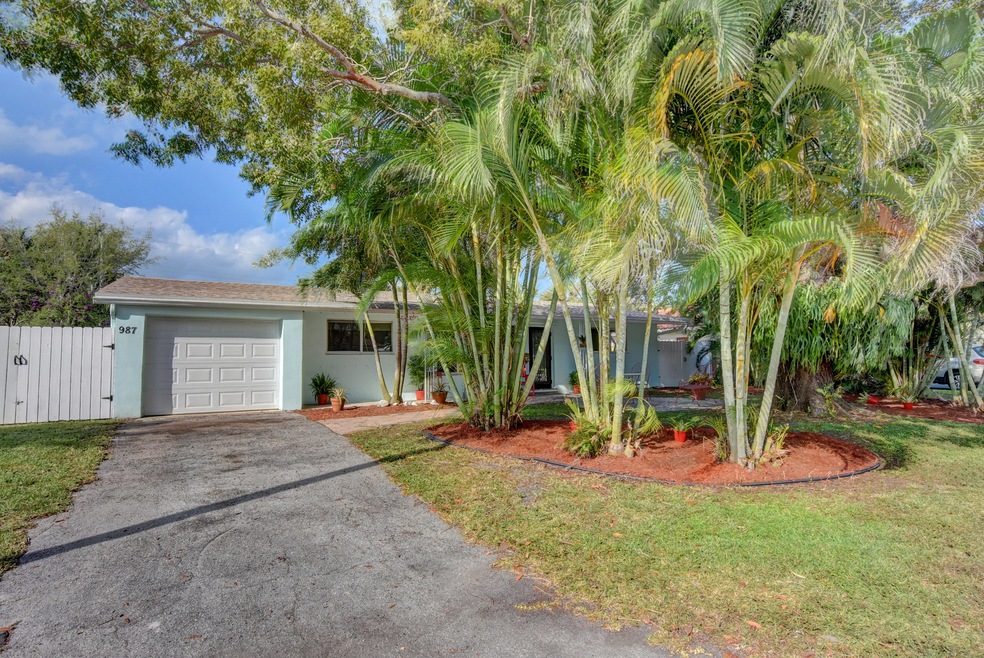 lh 987 sw 8th st-1