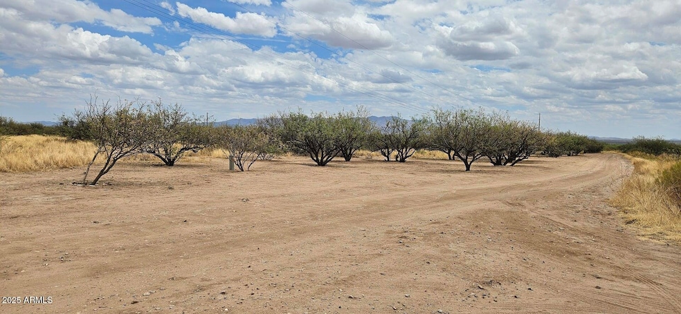 20250601_114335