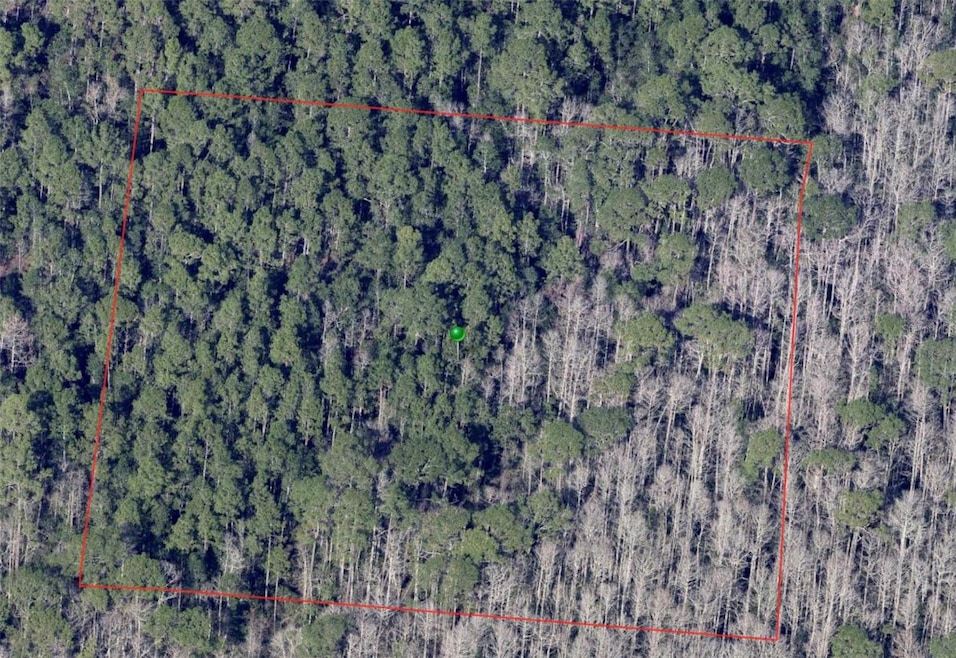 0 North St, de Leon Springs, FL 32130 - photo 1