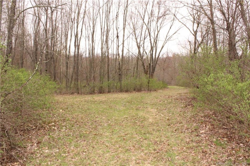 0 Kent Hollow Rd unit 170390954, Kent, CT 06757 - photo 1