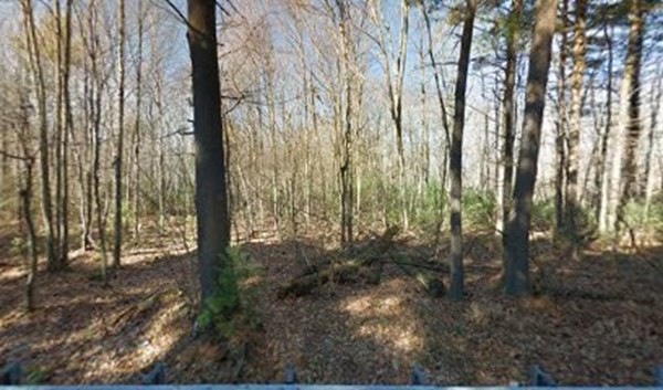 41 Hemlock St, Douglas, MA 01516 - photo 1