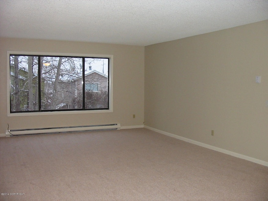 Large Living Area