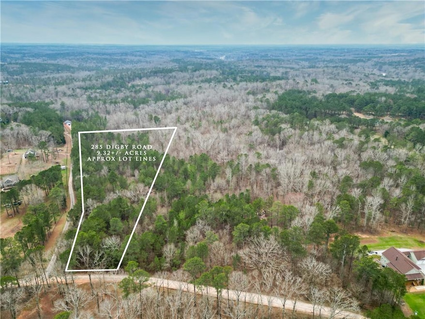 View of bird's eye view