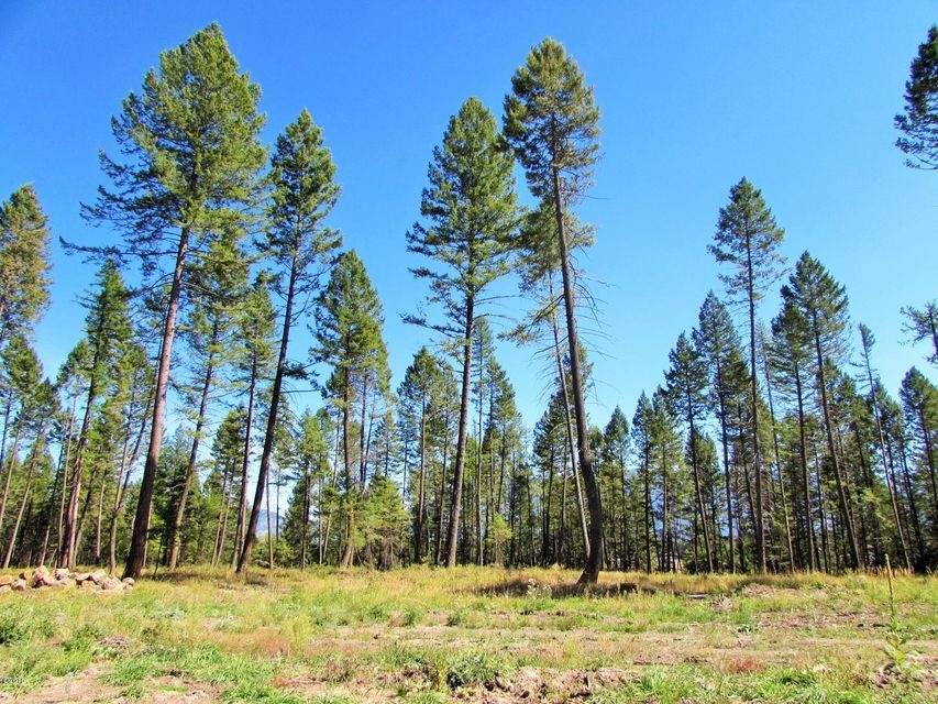Timber Ridge 9-15 (1)
