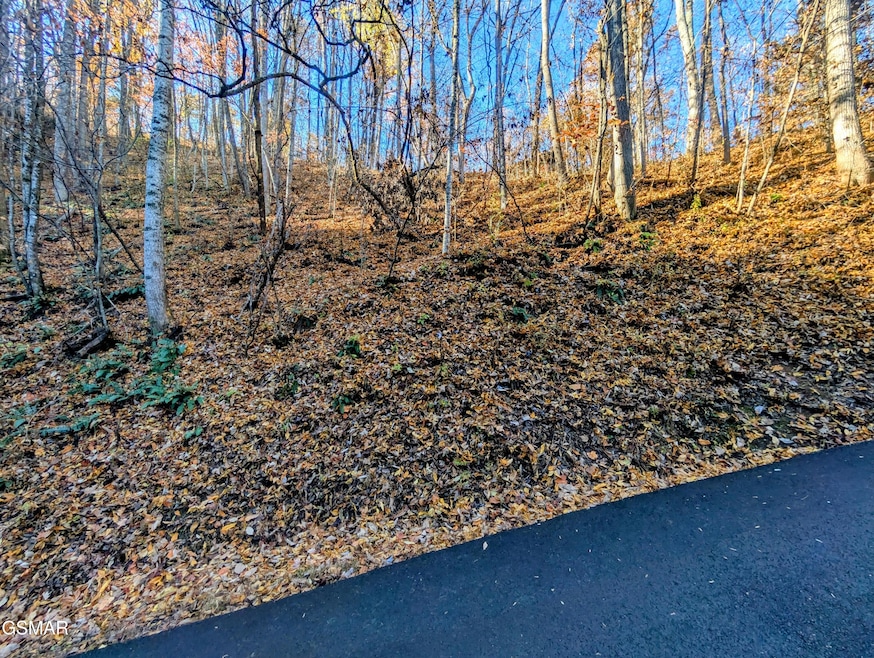 Lot 339 Ridgefield Dr, Sevierville, TN 37876 - photo 1
