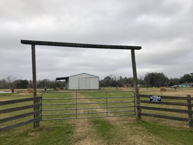 0 Cr 604, Brazoria, TX 77422 - photo 1