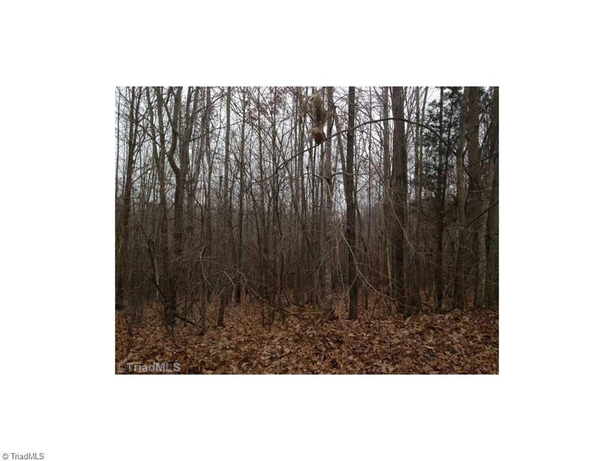 0 Greenleaf Acres Dr, Asheboro, NC 27205 - photo 1