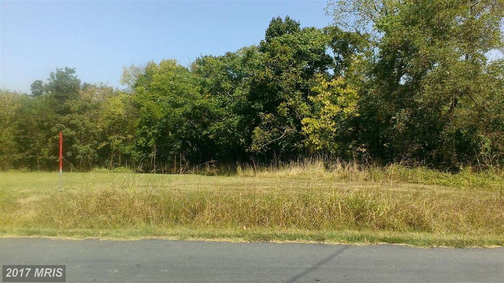 0 Bowman Mill Rd, Strasburg, VA 22657 - photo 1