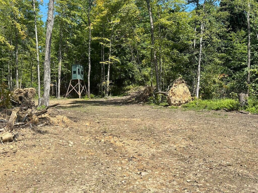 land