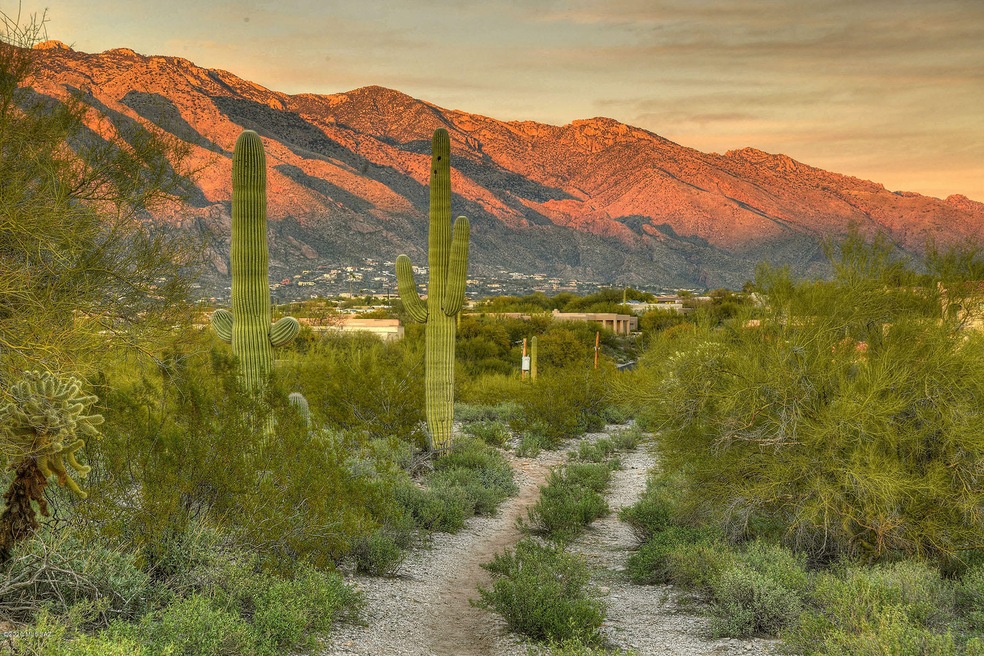 Looking NE into Catalina Mtns