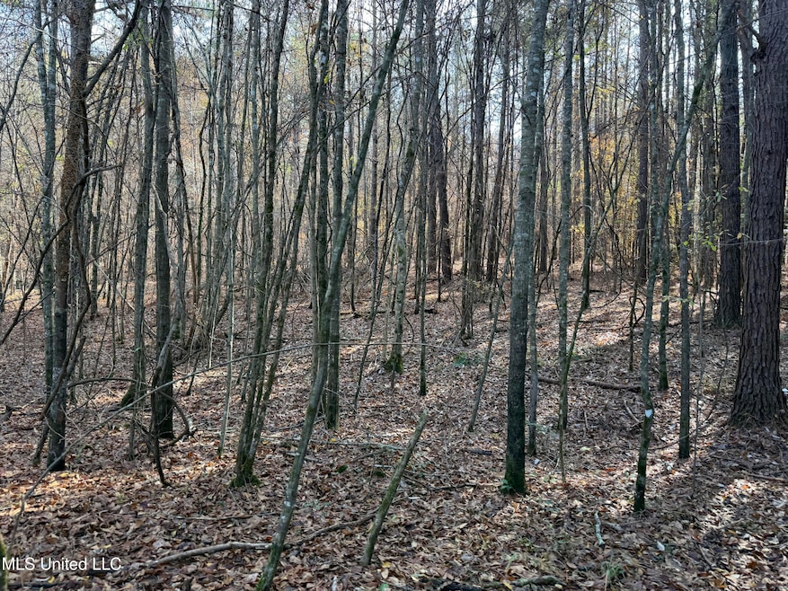 000 Greenland Rd, Little Rock, MS 39337 - photo 1