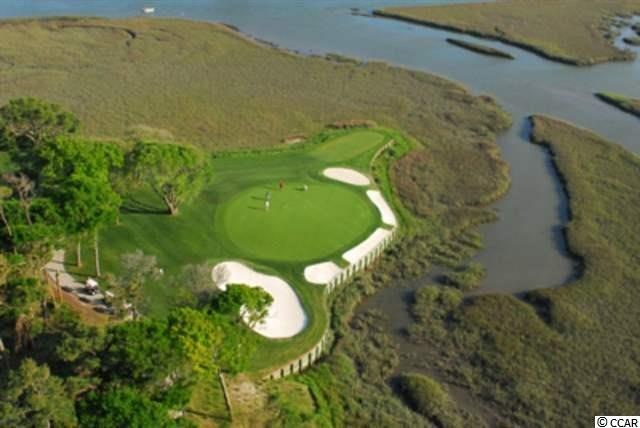 1209 Trisail Ln unit TIDEWATER PLANTATION, North Myrtle Beach, SC 29582 - photo 1