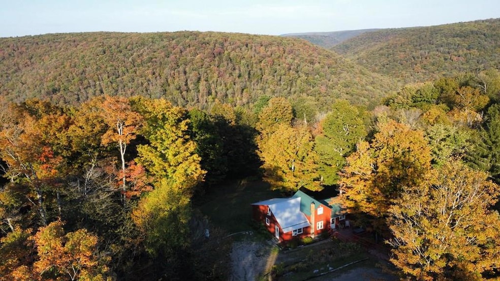 4507 Cherry Springs Rd, Coudersport, PA 16915 - photo 1