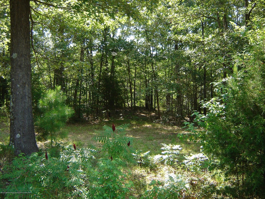 DSC01894