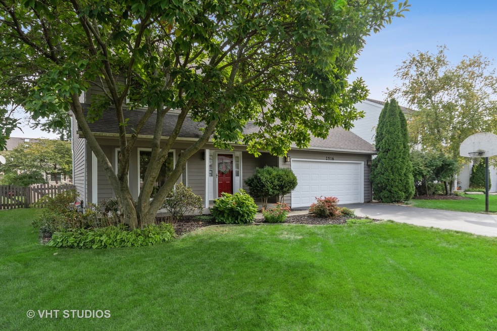 2516 Leach Dr, Naperville, IL 60564 - photo 1