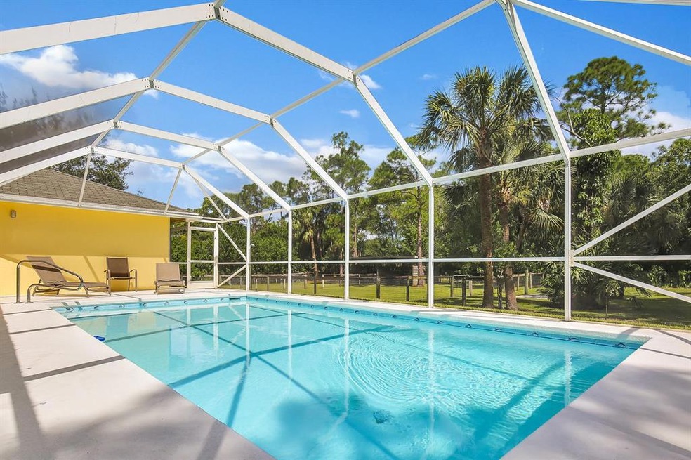 pool & deck