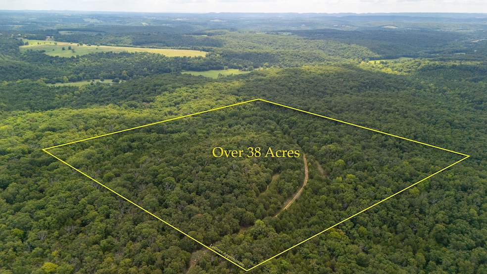 000 Merritt Rd, Chadwick, MO 65629 - photo 1