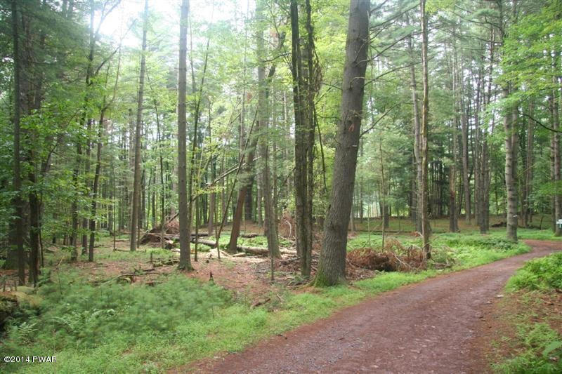 0 Church Rd, Lackawaxen, PA 18435 - photo 1