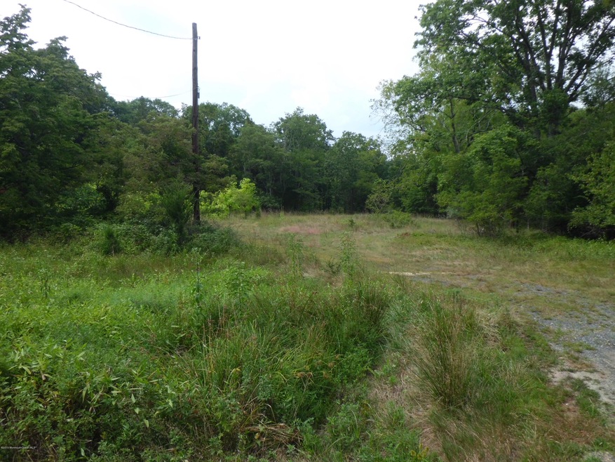 65 Squankum Rd, Colts Neck, NJ 07722 - photo 1