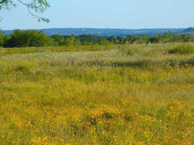 0 Hollmig Ln, Fredericksburg, TX 78624 - photo 1